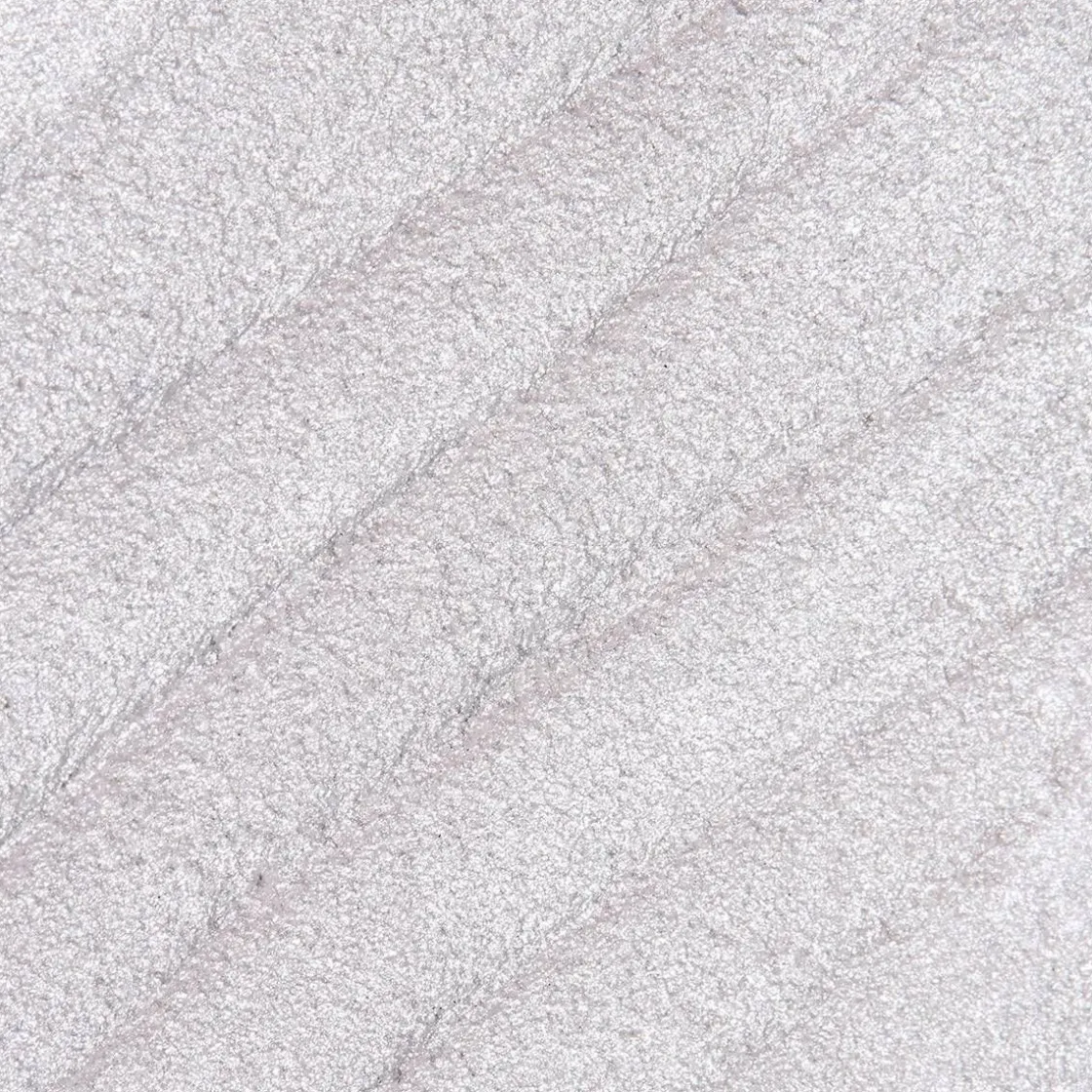 Hot Cream Eyeshadow Eyeshadow