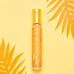 Best Cubana Solar