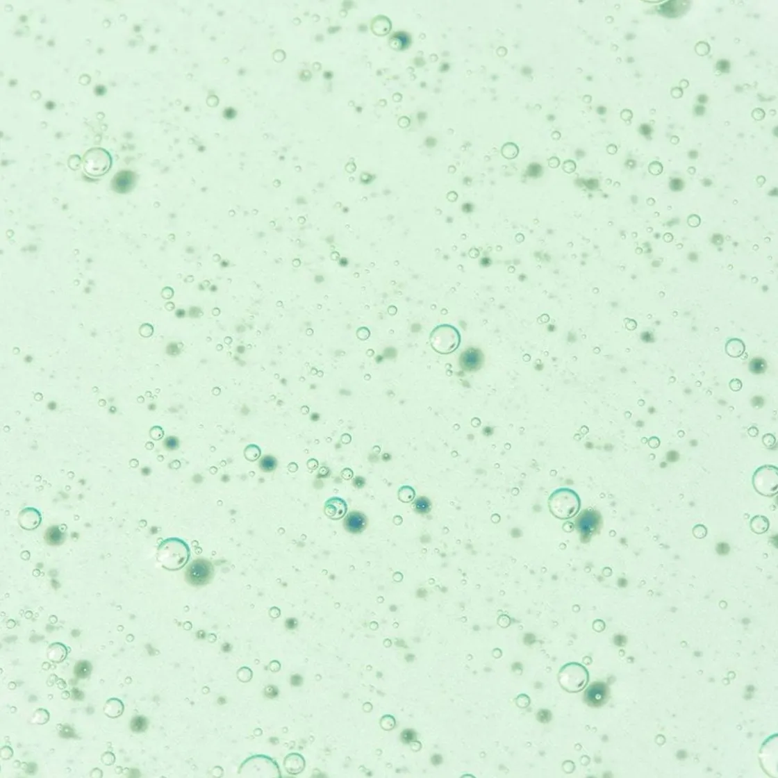 Outlet Verveine Fizz Cleansing